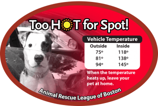 Too Hot for Spot - Vehicle Temperature Dangers
